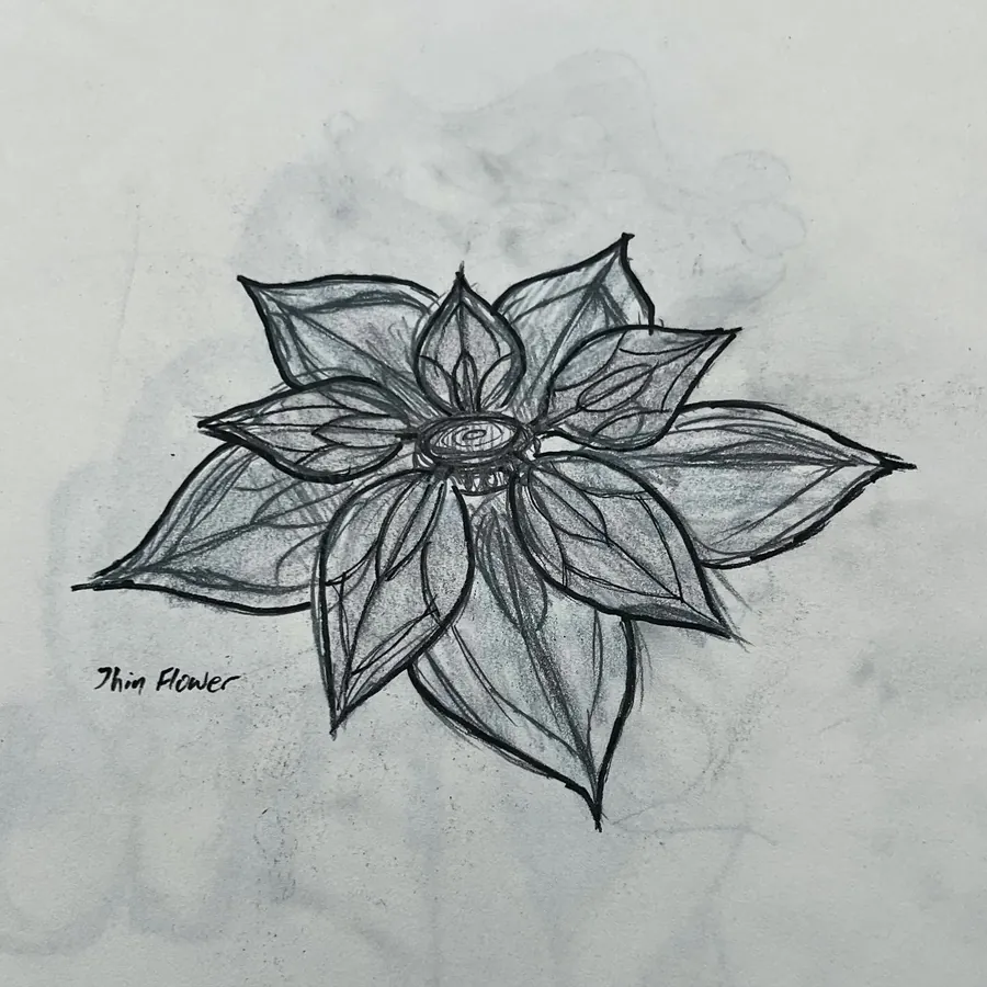 A fine ink drawing of a many-petalled flower with an eye at its centre.