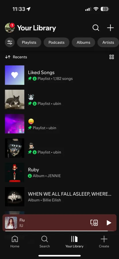Spotify Your Library screen on iPhone.