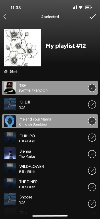 A Spotify playlist called My playlist number 12 with two songs checked and a header reading 2 selected.